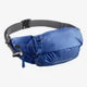 Salomon Cross Season Waist Belt