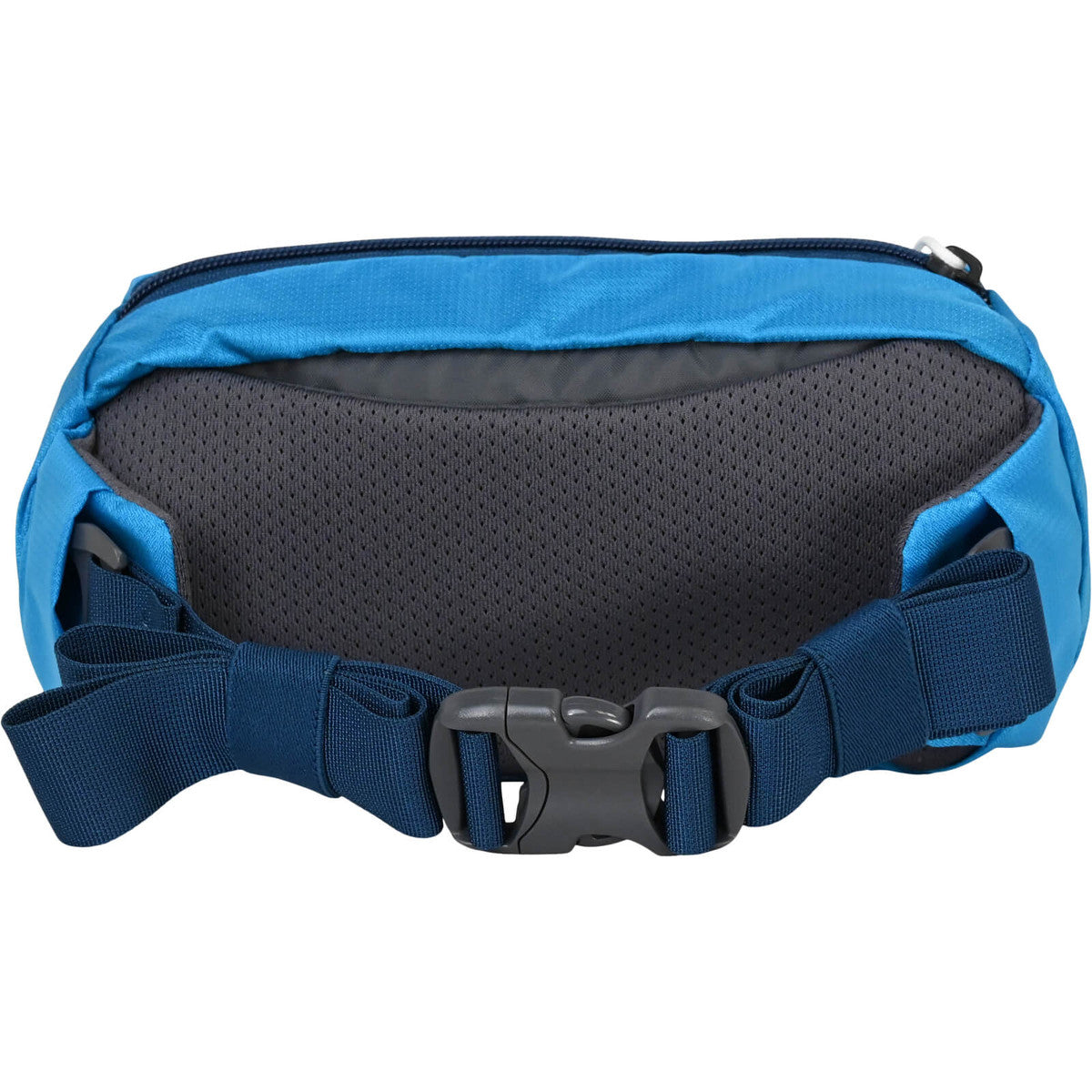 Mystery Ranch Forager Hip Mini Pack